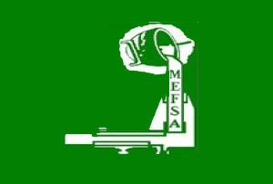 Logotipo de MEFSA Mecânica e Fundição Santo Antônio Ltda